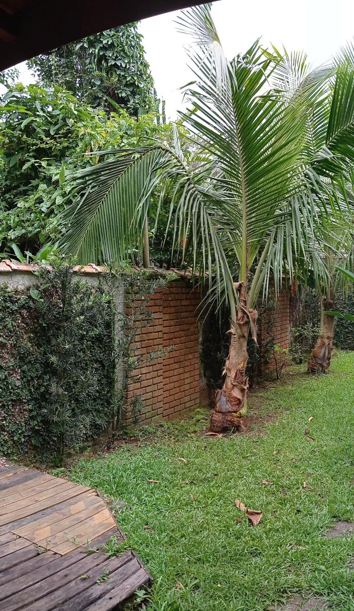 Casa Dos Coqueiros Praia De Camburi, Condominio Camburi  Exterior foto